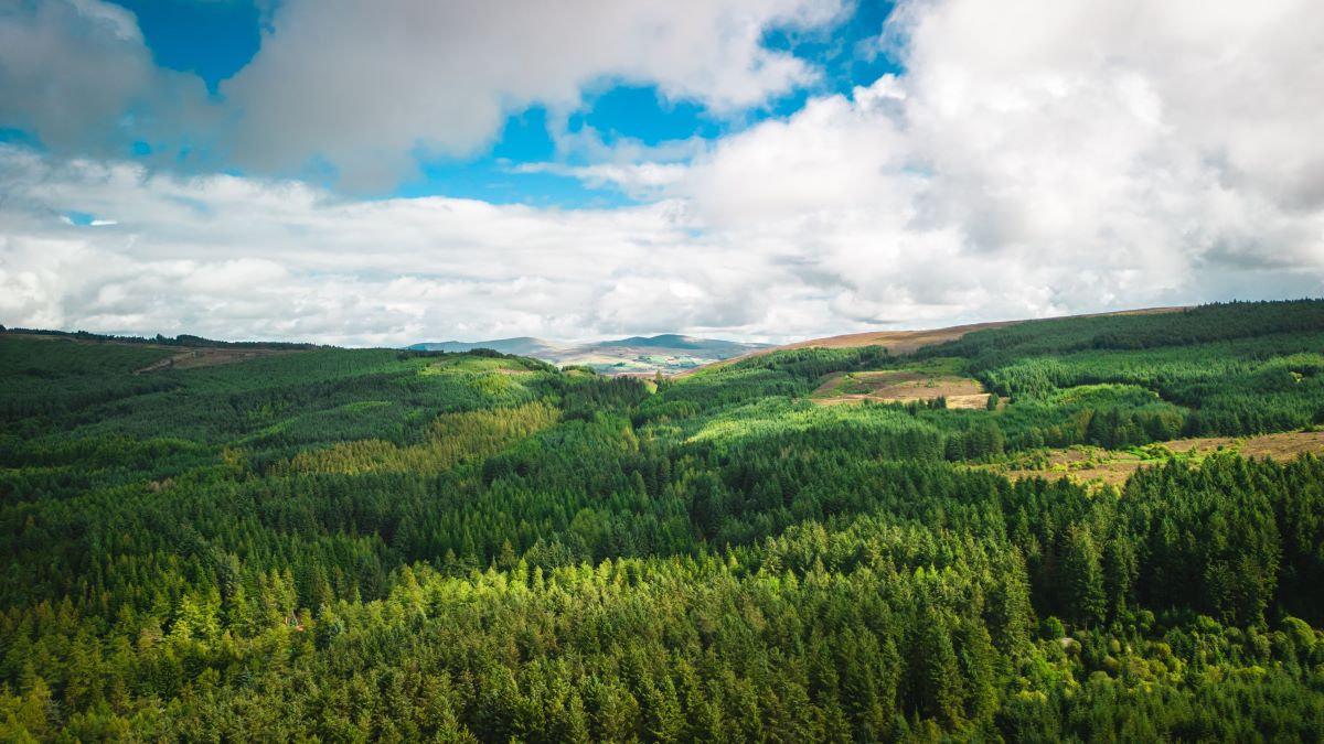 Natur entdecken vor der Haustür – Schätze im Umfeld