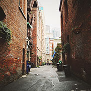 image gallery 4